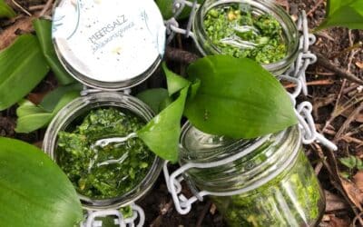 Bärlauch Pesto
